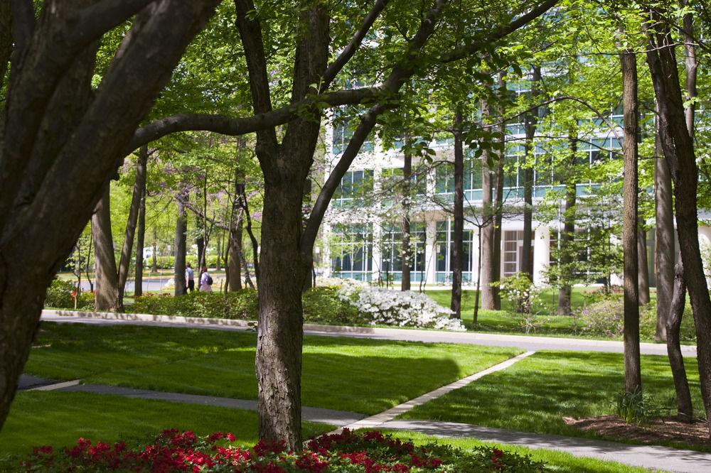 Falls Church Marriott Fairview Park Dış mekan fotoğraf